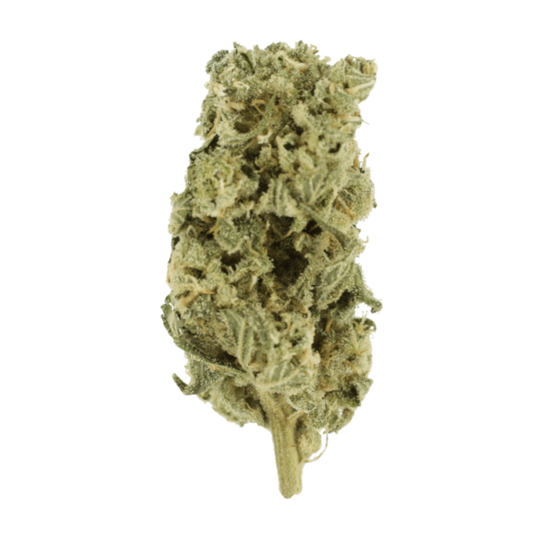 Romulan Hashplant | BC Weed Edible Canada